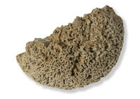 F 08923
<br/>
<br/>
<em></em>